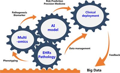 Editorial: Advances in Using Big Data and Artificial Intelligence to Understand Heterogeneity in Inflammatory Responses